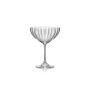 Champagne glass 21cl coupe Optic