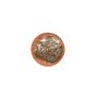 Plate 15cm crab burnt orange Icon