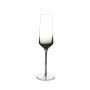 Champagne glass 23cl smoked Secrets - set/2