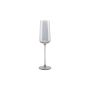 Champagne glass 24cl smoked Ray - set/4