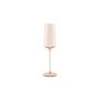 Champagne glass 24cl amber Ray - set/4