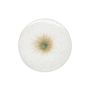 Assiette plate 28cm blanc Eclipse