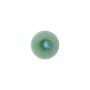 Plat bord 21cm turquoise Eclipse