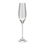 Champagne glass 21cl Cuvee - set/6