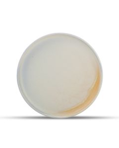 Plat bord 26cm lavender Volta
