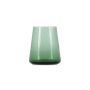 Glas 30cl donkergroen Ray - Set van 4