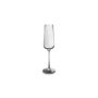 Verre à champagne 24cl Ray - Lot de 4