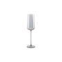 Verre à champagne 24cl smoked Ray - Lot de 4