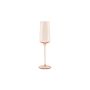 Verre à champagne 24cl amber Ray - Lot de 4