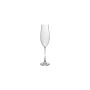 Champagnerglas 29cl Saga - 4er-Set