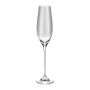 Verre à champagne 21cl Cuvee - Lot de 6