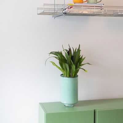 Vaas 15xH26cm pistachio green Milo