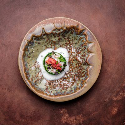 Bowl 25,5xH5,5cm crab burnt orange Icon