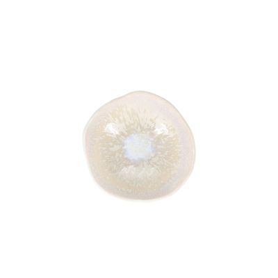 Kom 18,5xH6,5cm reef Rocha - Set van 2