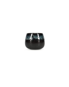 Cup 18cl seaweed Umi