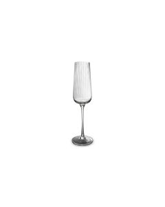 Champagneglas 24cl Ray - Set van 4