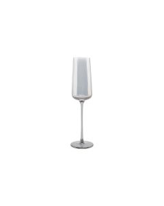 Champagne glass 24cl smoked Ray - Set of 4
