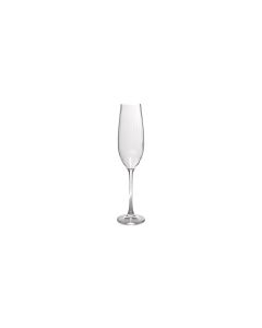 Champagneglas 29cl Saga - Set van 4