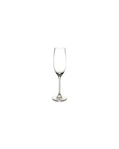 Champagneglas 21cl Tinta - Set van 6