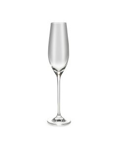 Champagneglas 21cl Cuvee - Set van 6