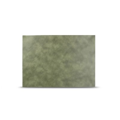 Placemat 43x30cm lederlook groen Layer