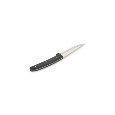 Steak knife 23cm satin Carne - set/4