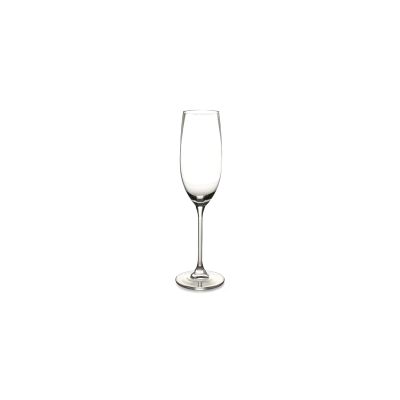 Champagne glass 21cl Tinta - set/6