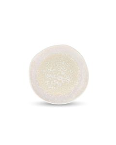 Plate 25cm reef Rocha