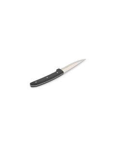 Steak knife 23cm satin Carne - set/4