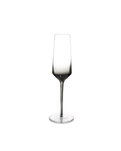 Champagneglas 23cl smoked Secrets - set/2